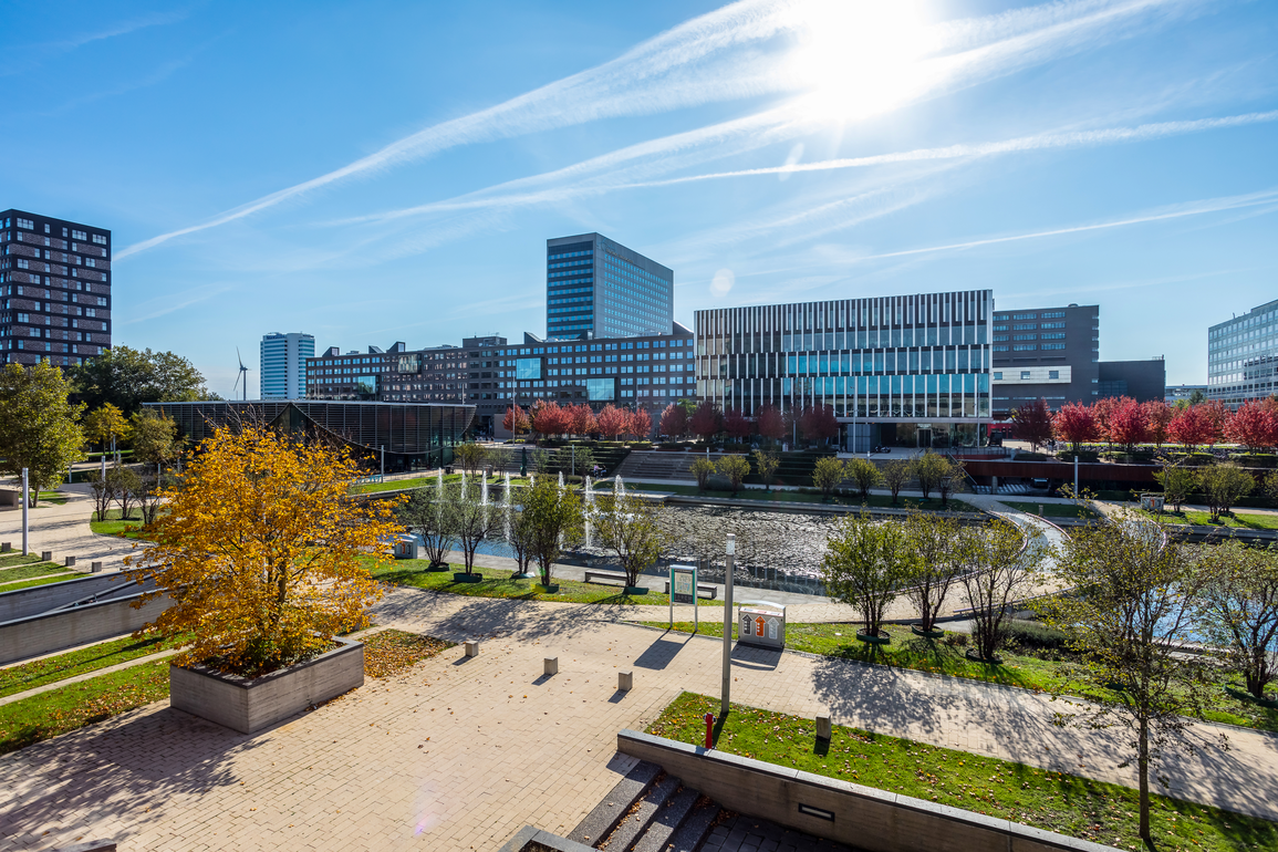 Rotterdam School of Management, Erasmus University