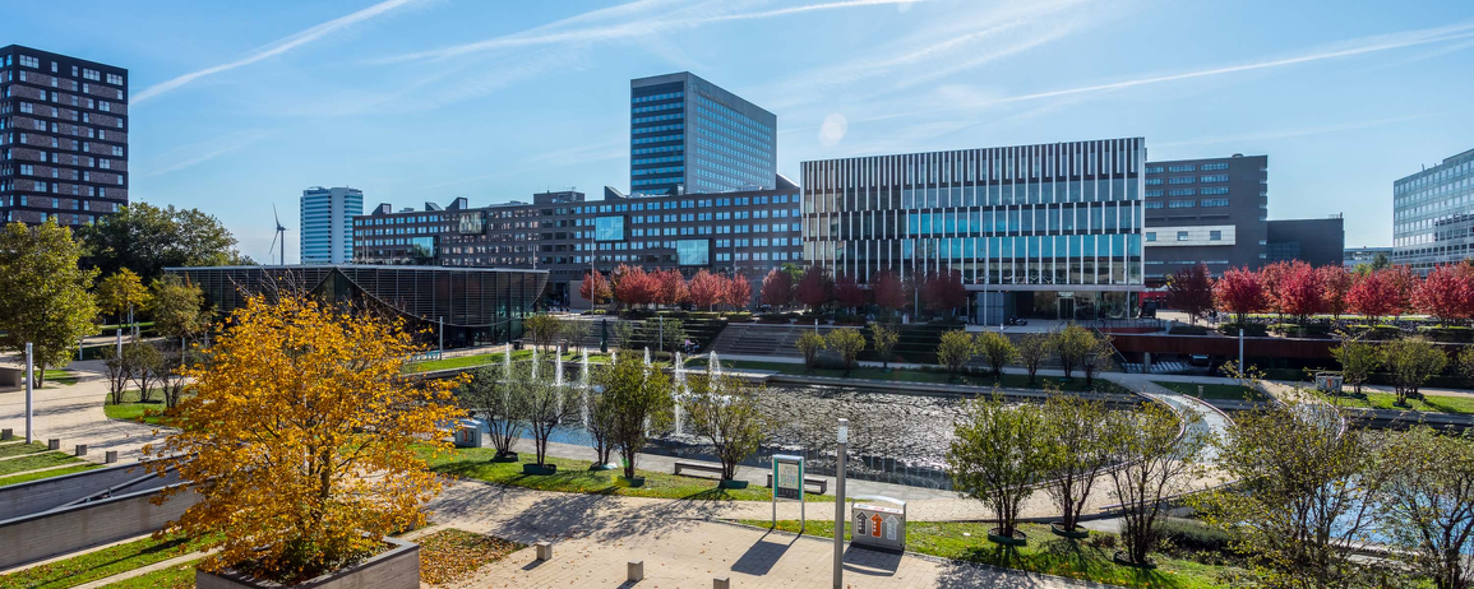 Rotterdam School of Management, Erasmus University